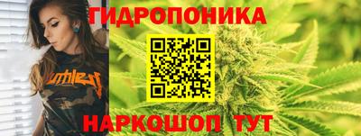 трава Малгобек