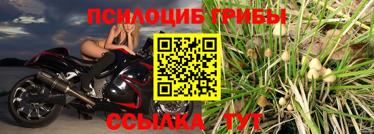 Галлюциногенные грибы ЛСД  Псилоцибиновые грибы Cubensis  Горячий Ключ  Вход с VPN 
